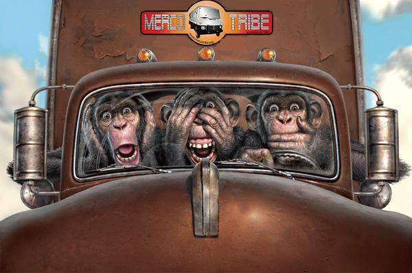 http://mercotribe.net/phpBB3/styles/prosilver/imageset/site_logo.gif