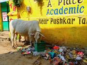 Avatar de l’utilisateur