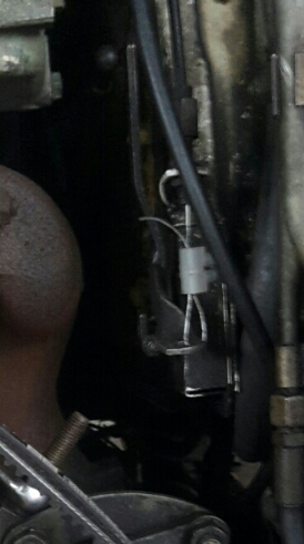 2018-07-14 17.01.46.jpg