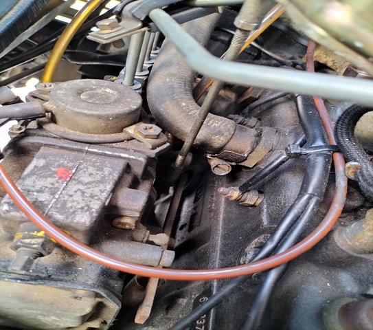 IMG20250422140723.jpg