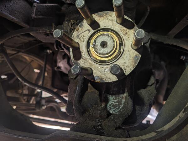 remonté et maté.jpg