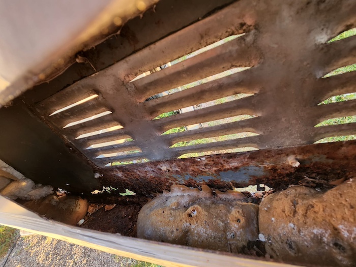 la belle mousse.jpeg